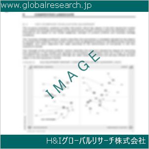 グローバルリサーチ調査資料のイメージ